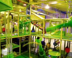 Monkey Mania - Tourism Gold Coast 1