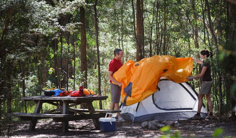 Bald Rock National Park - Gold Coast 1