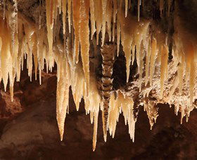 Wombeyan Caves - Tourism Gold Coast 1