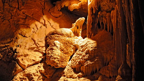 Wombeyan Karst Conservation Reserve - Tourism Gold Coast 2