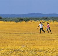 Wildflowers of the Mid West - Tourism Gold Coast