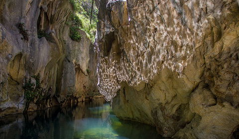 Mares Forest Creek Walking Track - Tourism Gold Coast 2