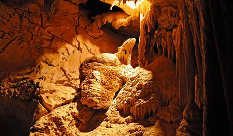 Fig Tree Cave - Tourism Gold Coast 0