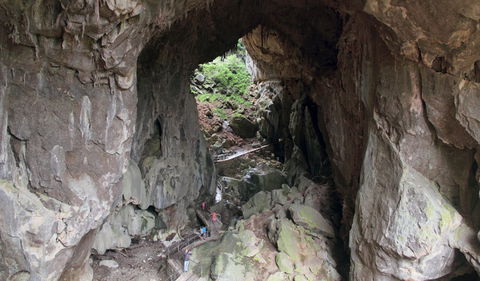 Fig Tree Cave - Tourism Gold Coast 1
