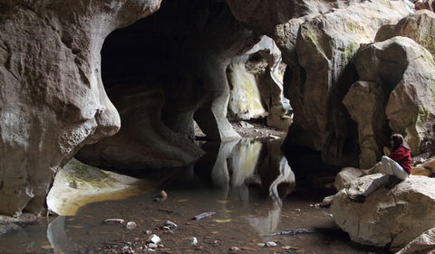 Fig Tree Cave - Tourism Gold Coast 2
