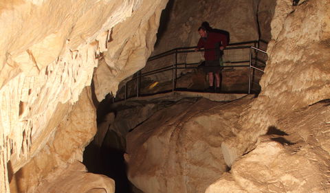 Fig Tree Cave - Tourism Gold Coast 3