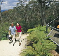 Valley of the Waters - Tourism Gold Coast
