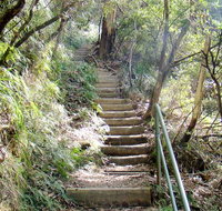 Nature track - Tourism Gold Coast