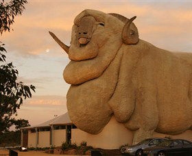 Big Merino - Tourism Gold Coast 3