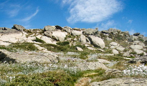 Mount Stillwell Walk - Tourism Gold Coast 1