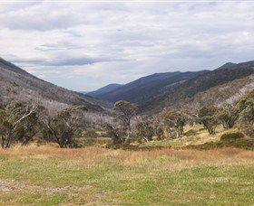 Dead Horse Gap - Tourism Gold Coast 2