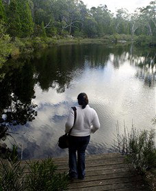 Boonoo Boonoo Falls National Park - Gold Coast 1