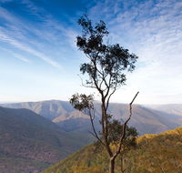 Salisbury Waters walking track - Gold Coast