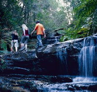 South Lawson Waterfall Circuit - Tourism Gold Coast