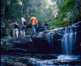South Lawson Waterfall Circuit - Tourism Gold Coast 0