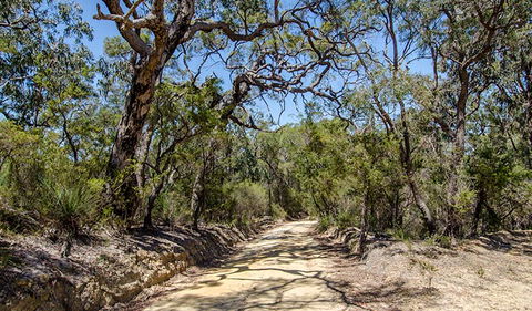 Howes Trail - Tourism Gold Coast 0