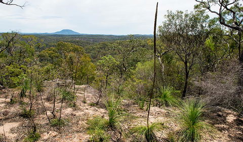 Howes Trail - Tourism Gold Coast 1