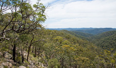 Howes Trail - Tourism Gold Coast 2