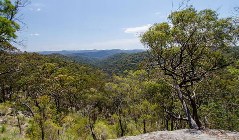 Howes Trail - Tourism Gold Coast 3