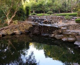 Bundaberg Botanic Gardens And Playground - Tourism Gold Coast 1
