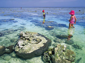Southern Great Barrier Reef - Tourism Gold Coast 1