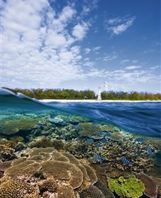Southern Great Barrier Reef - Tourism Gold Coast 2