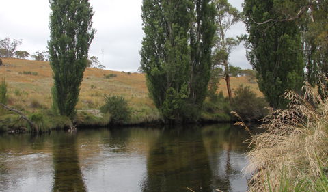 Thredbo River Picnic Area - Tourism Gold Coast 3
