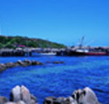 King Island Dairies - Tourism Gold Coast