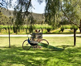 Stomp! Wines - Tourism Gold Coast 3
