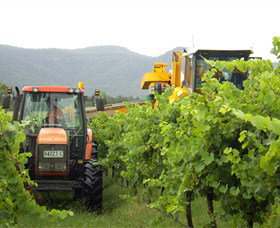 Stomp! Wines - Tourism Gold Coast 8