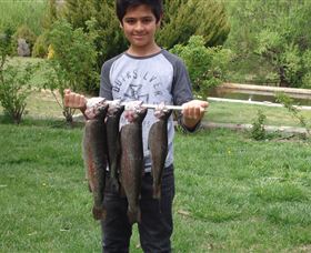 Eucumbene Trout Farm - Gold Coast 3