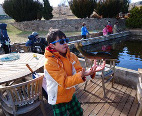 Eucumbene Trout Farm - Gold Coast 2