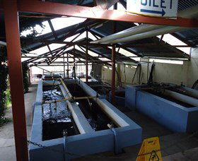 Eucumbene Trout Farm - Gold Coast 5