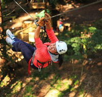 Trees Adventure Grose River Park - Gold Coast