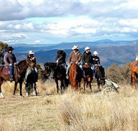 Snowy Wilderness - Tourism Gold Coast