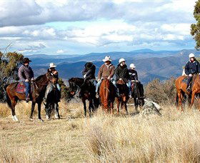 Snowy Wilderness - Tourism Gold Coast 0