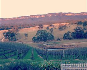 Dryridge Estate - Tourism Gold Coast 0