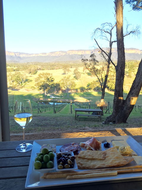 Dryridge Estate - Tourism Gold Coast 3