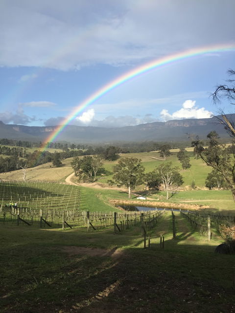 Dryridge Estate - Tourism Gold Coast 4
