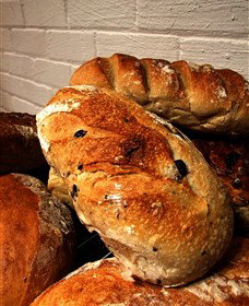 Bakehouse On Park - Tourism Gold Coast 3