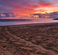 Mon Repos Beach - Tourism Gold Coast