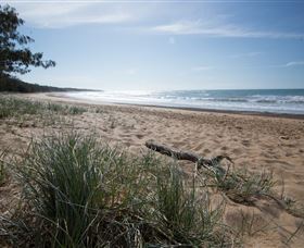 Mon Repos Beach - Tourism Gold Coast 2