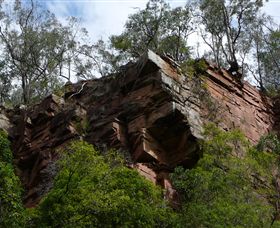 Mitchell River Walking Track - Tourism Gold Coast 2