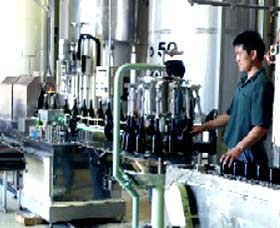 Sun Masamune Sake Brewery - Tourism Gold Coast 2