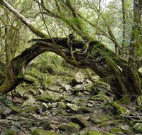 Mitchell River National Park - Tourism Gold Coast
