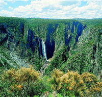 Wollomombi Falls - Gold Coast