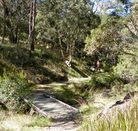 Wollomombi walking track - Gold Coast