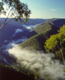 Tallong NSW Gold Coast