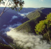 Long Point Lookout - Gold Coast