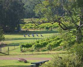 Wollombi Wines - Tourism Gold Coast 8